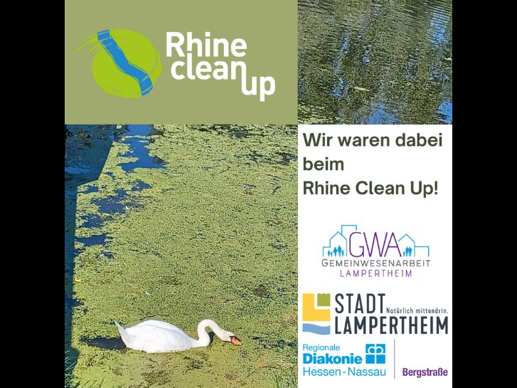 Gemeinwesenarbeit Lampertheim zeigt ein Bild mit Schwan im Wasser im Rahmen des Rhine Clean Ups 2023