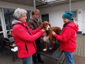 Die Ärztin behandelt einen Hund, der auf einem Behandlungstisch im Hof vom Zentrum der Wohnungslosenhilfe steht. In der Mitte steht der Besitzer des Hundes. Rechts im Bild beruhigt eine Mitarbeiterin vom "Sozialen Tiernetz Bensheim e.V." dn Hund.