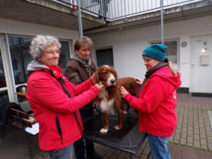 Tierärztin, 2. Vorsitzende vom "Sozialen Tiernetz Bensheim e.V. " und Tierhalter stehen im Hof des Zentrum der Wohnungslosenhilfe um den Behandlungstisch. Auf diesem steht ein braun-weißer Hund, der auf Ohrenkrankheiten untersucht wird.